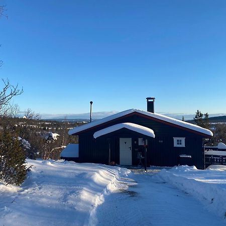 Cabin In The Mountain, Outstanding View & Solar Energy Vollen Eksteriør billede