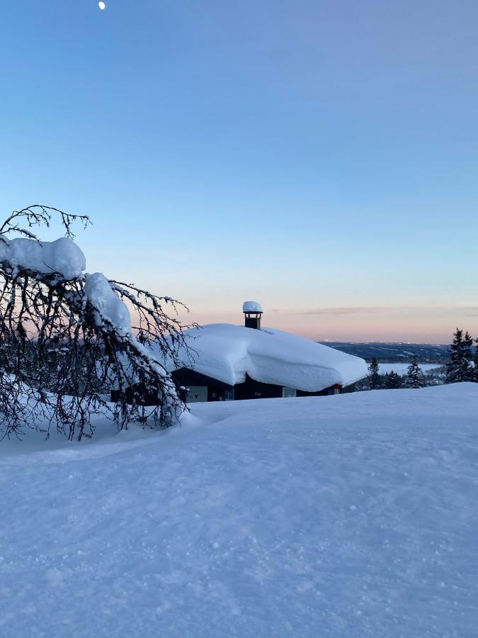 Cabin In The Mountain, Outstanding View & Solar Energy Vollen Eksteriør billede