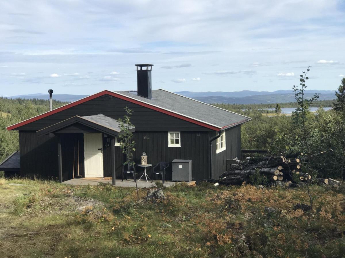Cabin In The Mountain, Outstanding View & Solar Energy Vollen Eksteriør billede