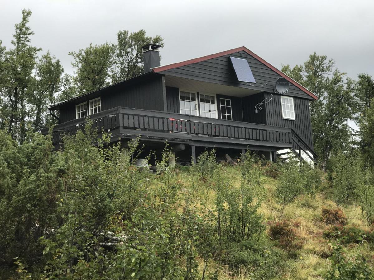 Cabin In The Mountain, Outstanding View & Solar Energy Vollen Eksteriør billede
